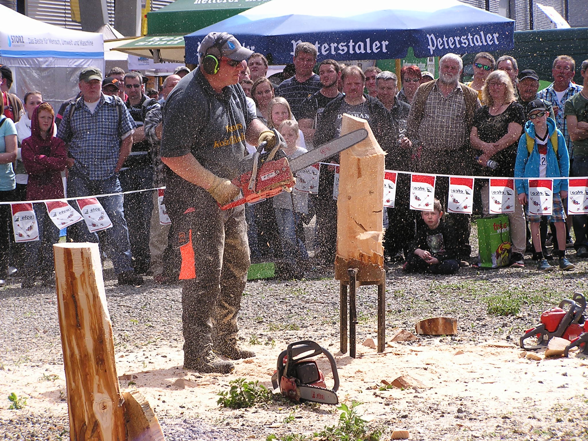 Wener Brohammer - Figurensäger